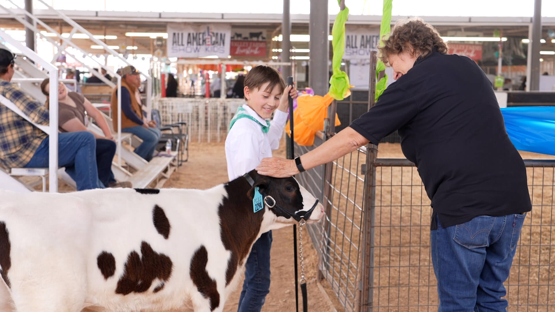 Pinal County Livestock Fair - Boy showing cow